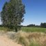  Land for sale in Confluencia, Neuquen, Confluencia