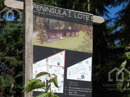  Land for sale in Neuquen, Los Lagos, Neuquen