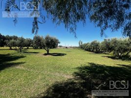  Terrain for sale in Pocito, San Juan, Pocito