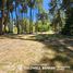  Land for sale in Neuquen, Los Lagos, Neuquen