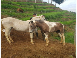 3 Habitación Villa en venta en Yumbo, Valle Del Cauca, Yumbo