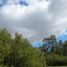  Land for sale in Tres Arroyos, Buenos Aires, Tres Arroyos