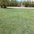  Land for sale in Tres Arroyos, Buenos Aires, Tres Arroyos