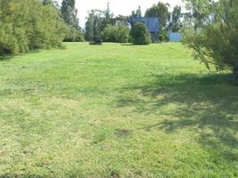  Land for sale in Tres Arroyos, Buenos Aires, Tres Arroyos