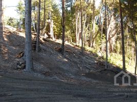  Land for sale in Neuquen, Los Lagos, Neuquen