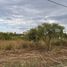  Land for sale in Colon, Entre Rios, Colon