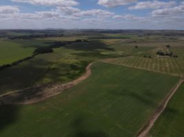  Terrain for sale in Balcarce, Buenos Aires, Balcarce