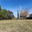 Terrain à vendre à La Plata, Buenos Aires, La Plata