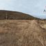  Land for rent in Escalante, Chubut, Escalante