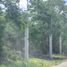  Land for sale in Tixkokob, Yucatan, Tixkokob