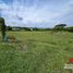  Land for sale in Pereira, Risaralda, Pereira