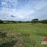  Land for sale in Pereira, Risaralda, Pereira