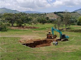  Terreno (Parcela) en venta en Manizales, Caldas, Manizales