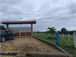  Terreno (Parcela) en venta en Nilo, Cundinamarca, Nilo