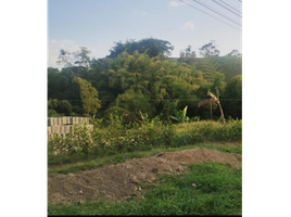  Land for sale in Pereira, Risaralda, Pereira