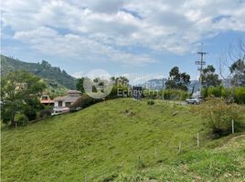  Terreno (Parcela) en venta en Caldas, Manizales, Caldas