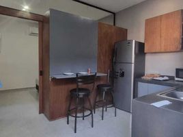 1 Bedroom Apartment for rent in Carmen, Campeche, Carmen, Campeche