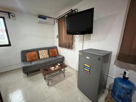 1 Habitación Apartamento en alquiler en Merida, Yucatán, Merida, Yucatán
