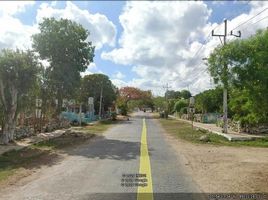 在Acanceh, Yucatan出售的 土地, Acanceh