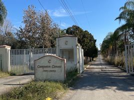  Grundstück zu verkaufen in Montemorelos, Nuevo Leon, Montemorelos