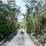  Land for sale in Ixil, Yucatan, Ixil