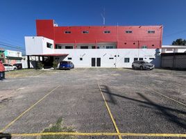 60 m² Office for rent in Queretaro, Queretaro, Queretaro