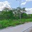  Grundstück zu verkaufen in Yaxkukul, Yucatan, Yaxkukul