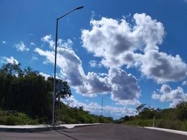  Grundstück zu verkaufen in Yaxkukul, Yucatan, Yaxkukul