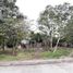 在Coatepec, Veracruz出售的 土地, Coatepec