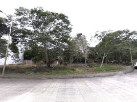 在Coatepec, Veracruz出售的 土地, Coatepec
