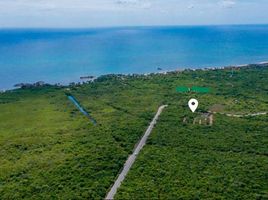 1 Schlafzimmer Appartement zu verkaufen in Cozumel, Quintana Roo, Cozumel
