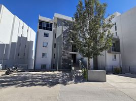 Appartement 3 chambre à vendre à San Luis Potosi, San Luis Potosi, San Luis Potosi, San Luis Potosi