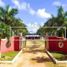 2 Bedroom House for sale in Abala, Yucatan, Abala