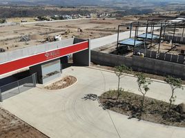  Terreno (Parcela) en venta en Zapotlanejo, Jalisco, Zapotlanejo