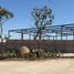  Terreno (Parcela) en venta en Zapotlanejo, Jalisco, Zapotlanejo