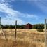  Land for sale in Maule, San Clemente, Talca, Maule