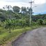  Land for sale in Pereira, Risaralda, Pereira