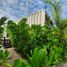 1 Schlafzimmer Appartement zu verkaufen in Lazaro Cardenas, Quintana Roo, Lazaro Cardenas