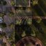  Land for sale in Arteaga, Coahuila, Arteaga