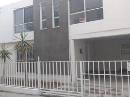 在San Luis Potosi出租的4 卧室 屋, San Luis Potosi, San Luis Potosi