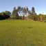  Land for sale in Los Lagos, Calbuco, Llanquihue, Los Lagos