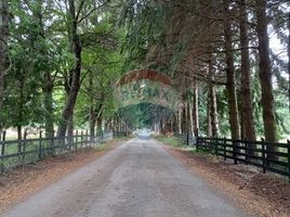  Land for sale in Los Lagos, Frutillar, Llanquihue, Los Lagos