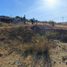  Terreno (Parcela) en venta en Ensenada, Baja California, Ensenada