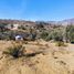  Terreno (Parcela) en venta en Ensenada, Baja California, Ensenada