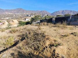  Terreno (Parcela) en venta en Ensenada, Baja California, Ensenada