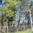  Land for sale in La Plata, Buenos Aires, La Plata