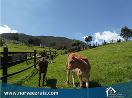  Land for sale in Zipaquira, Cundinamarca, Zipaquira