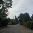  Terreno (Parcela) en venta en Colina, Chacabuco, Colina