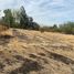  Terreno (Parcela) en venta en Colina, Chacabuco, Colina