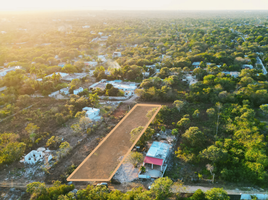  Grundstück zu vermieten in Conkal, Yucatan, Conkal